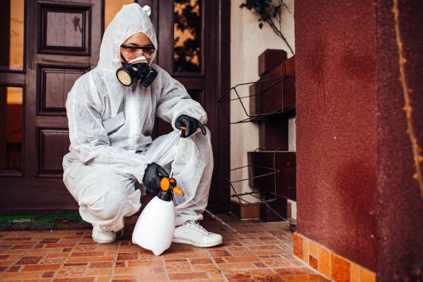 Reliable Cockroach Control contractor in Wolf Trap, VA by Nex Pest Control